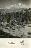 74* COMBLOUX   Le Mt Blanc (CPSM Petit Format)  MA80-0981 - Combloux