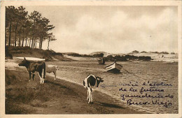 40* VIEUX BOUCAU Plage                      MA85-0783 - Sore