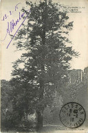 44* CLISSON Arbre Vendeens                    MA86,0078 - Clisson