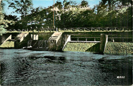 45* CHATILLON COLIGNY  Deversoir  (cpsm Petit Format)              MA86,0468 - Chatillon Coligny