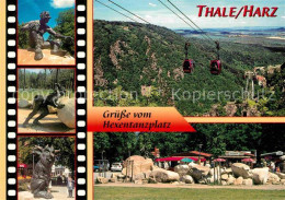 Thale Harz Hexentanzplatz - Thale