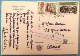● Paul VIALAR écrivain - CPSM Faune Africaine / Lion - Survol D'un éléphant - (Saint Denis 1898 -- Vaucresson 1996) - Scrittori