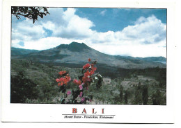 MOUNT BATUR - PENELOKAN, KINTAMANI.- BALI / INDONESIA - Indonesia