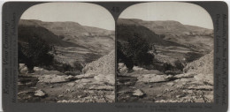 Syria, Mt. Nebo , S. From Wady Ayun Musa, Showing Road To Jordan, Stereo Card 49 - Syria