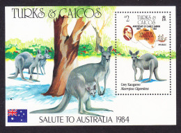Turks & Caicos Islands 1984 Salutes Australia Miniature Sheet Mint - Turks & Caicos (I. Turques Et Caïques)