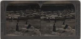 Syria, Damascus And Its Gardens From The Northwest, Stereo Card 99 - Syria
