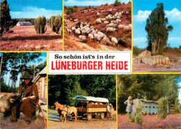 Lueneburger Heide Panorama Schafherde Schaefer Pferdewagen Imker - Walsrode