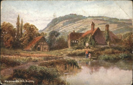 Hascombe Hill Godalming Waverley Surrey UK Hascombe Hill - Surrey
