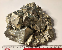 PERU - MUSEUMS STUFE 1,4 KG PYRIT AUS DER HUANZALA MINE - AUS EINER ALTEN SAMMLUNG - OKTAEDER BIS 60 MM. RARES OBJEKT! - Minerales