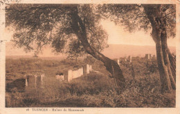ALGERIE - Tlemcen - Ruines De Mansourah - Carte Postale Ancienne - Tlemcen