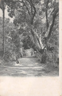 ID-PAYSAGE  A IDENTIFIER-N° 4419-E/0227 - To Identify