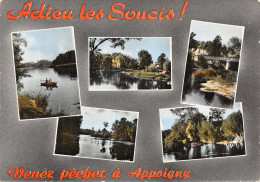 89-APPOIGNY-N° 4422-B/0369 - Appoigny