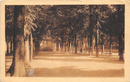 64-MAULEON-N°T291-E/0195 - Mauleon Licharre