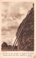 ID-PAYSAGE A IDENTIFIER-N°3790-G/0187 - To Identify