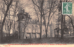 77-NANGIS-LE CHÂTEAU-N°T293-H/0145 - Nangis