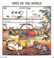 Lesotho 1998 Cats 6v M/s, Mint NH, Nature - Cats - Lesotho (1966-...)