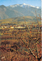66-PRADES-N°3836-A/0197 - Prades