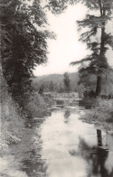 91-BOISSY LA RIVIERE-LA JUINE-N°T296-F/0113 - Boissy-la-Rivière
