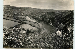 29-CHATEAUNEUF DU FAOU-N°T301-D/0360 - Châteauneuf-du-Faou