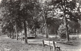 80-AILLY SUR NOYE-N°3841-E/0073 - Ailly Sur Noye