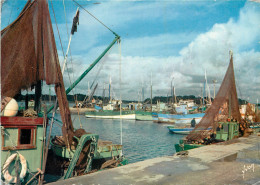 29-LOCTUDY-N°T304-E/0341 - Loctudy