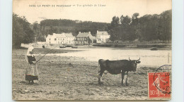 29-FOUESNANT-N°T306-D/0129 - Fouesnant