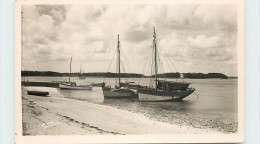 29-LOCTUDY-N°T307-B/0357 - Loctudy