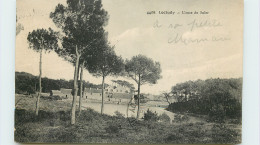 29-LOCTUDY-N°T307-B/0331 - Loctudy