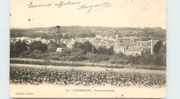 29-LANDERNEAU-N°T307-B/0073 - Landerneau