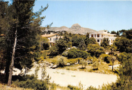 13-AUBAGNE-N°T320-C/0367 - Aubagne