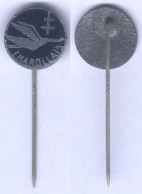 Insigne Du Bataillon F.F.I Du Charollais - Alluminium Peint - Epinglette - Autres & Non Classés