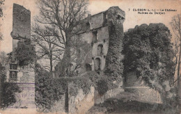 Clisson Le Château Ruines Du Donjon - Clisson