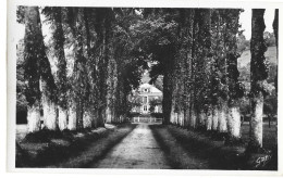 61  Gace -  Allee Et Maison De La Fangeaie - Gace