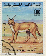 Maroc Poste Obl Yv: 737 Mi:812 Lynx Caracal (cachet Rond) - Félins