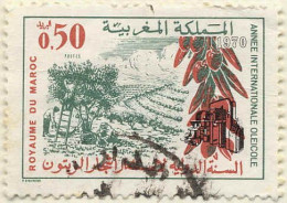 Maroc Poste Obl Yv: 611 Mi:677 Année Internationale Oléicole (cachet Rond) - Agriculture