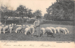 CPA 10 UN PATURAGE A ERVY /AUBE - Ervy-le-Chatel
