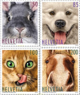 601415 MNH SUIZA 2019 ANIMALES - Autres & Non Classés