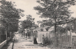 Bagnoler Val Fleury Avenue Des Roses - Bagnolet