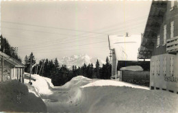43423 - GEX - CPSM - LE SOMMET DU COL EN HIVER / VUE SUR LA CHAINE DES ALPES ET LE MONT BLANC - Gex