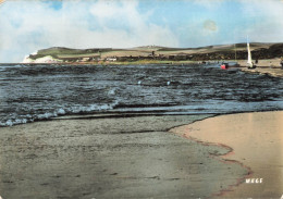 FRANCE - Wissant - Blanc Nez - Plage - Bateau - Voilier - Transport - Vague - Baignade - Animé - Carte Postale - Wissant