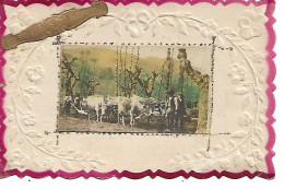 Delcampe - Agriculture, Belle Carte Gaufrée Avec Photo D'un Attelage De Boeufs - Wagengespanne