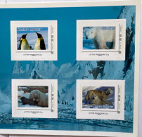 2017 Collector Festival International Du FILM ANIMALIER  / BANQUISE / ICE FLOE / SCHOLLE / TÉMPANO / PENGUIN / BEAR - Bears