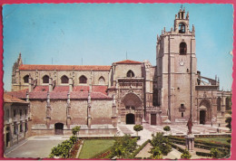 Visuel Très Peu Courant - Espagne - Palencia - La Catedral - 1962 - Palencia