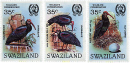 238939 MNH SWAZILANDIA 1984 PROTECCION DE LA VIDA SALVAJE - Swaziland (1968-...)