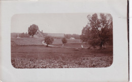 POSTCARD 003132 Baltics. Lithuania - Lithuania