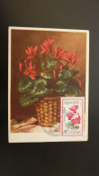 Carte Maximum Card Fleurs Flowers DDR IGA 1966 - Maximumkarten (MC)
