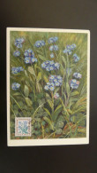 Carte Maximum Card Timbre Taxe Fleur Myosotis Flowers Postage Due Stamp Andorre 1971 - Cartes-Maximum (CM)