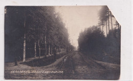 POSTCARD 003162 Baltics. Lithuania Meluzha - Lithuania