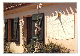 17 Fleurs Et Cadran Solaire De Charente Maritime N° 59 \ML4013 - Pons