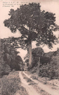 GABON LIBREVILLE Le Fromager Sur La Route D' OWENDO N° 3 \ML4017 - Gabun